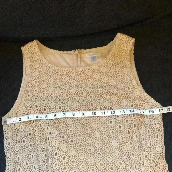 Garnet Hill Beige Eyelet Sheath Dress-Size 10 - Picture 9 of 11